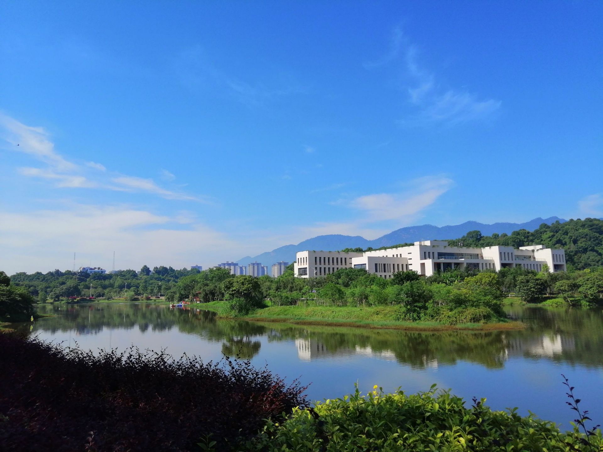 福州大学 美景图片