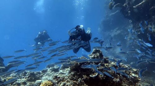 大堡礁潛水