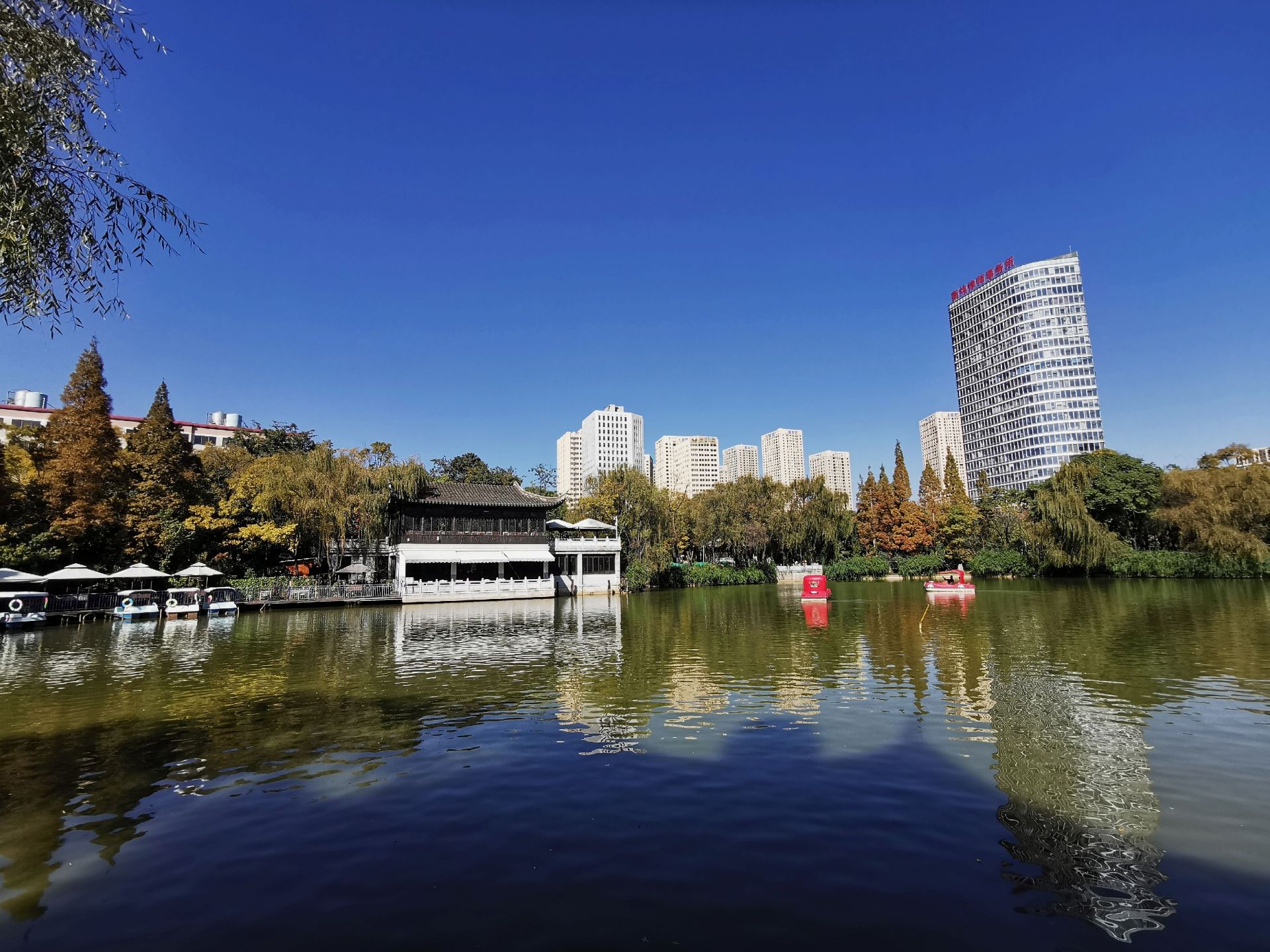 昆明蓮花池公園攻略,昆明蓮花池公園門票/遊玩攻略/地址/圖片/門票價