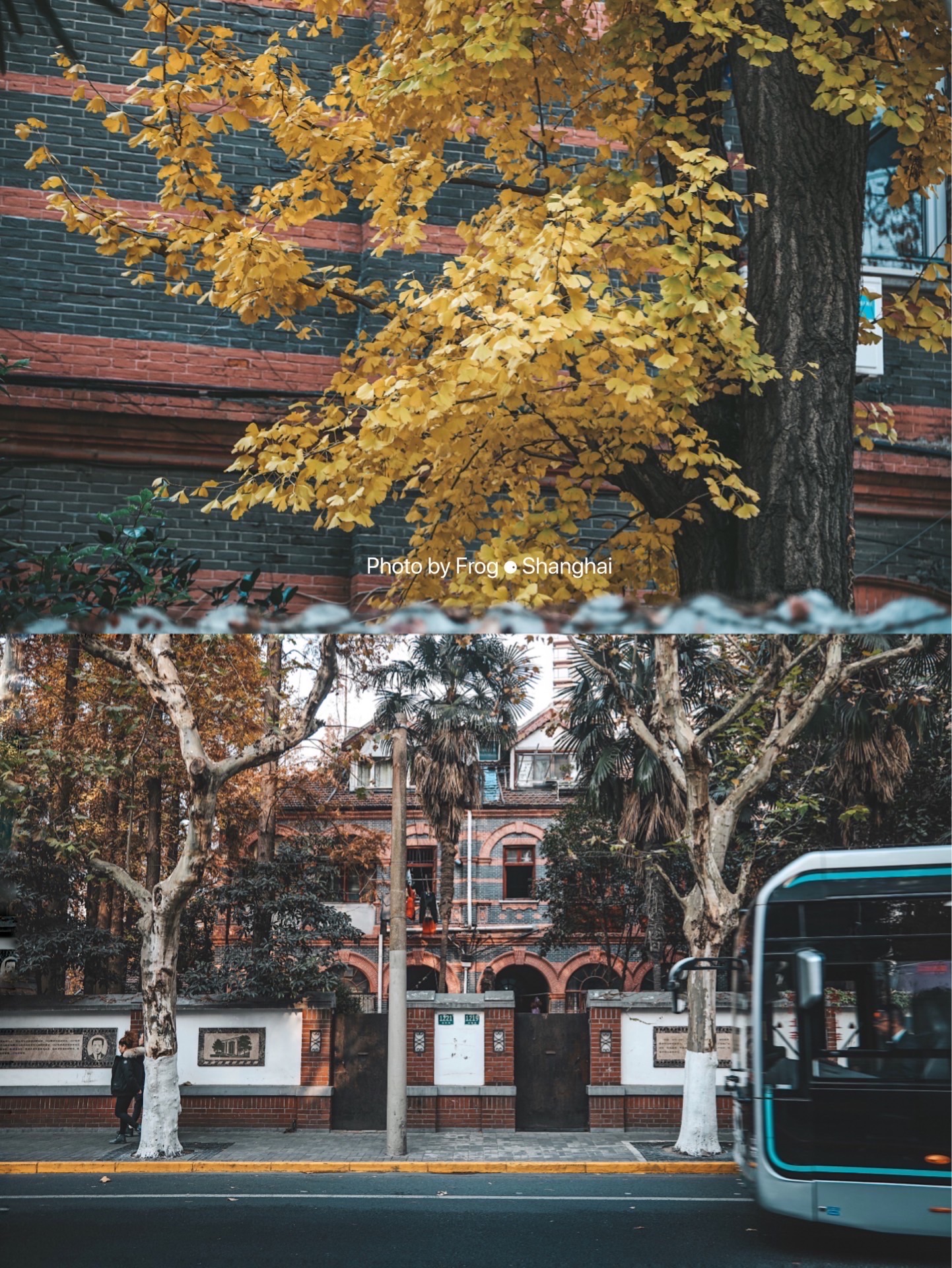 溧阳路文化名人街