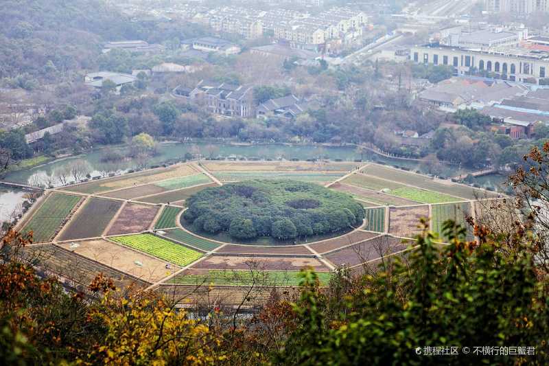 在玉皇山之巅,俯瞰八卦田…太壮观了!-携程攻略