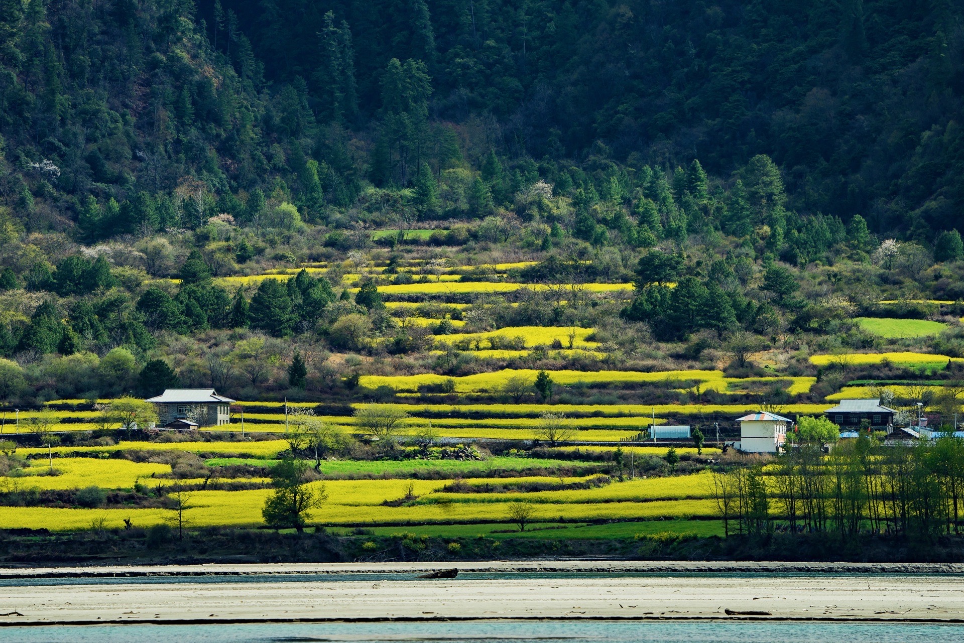 易贡国家地质公园