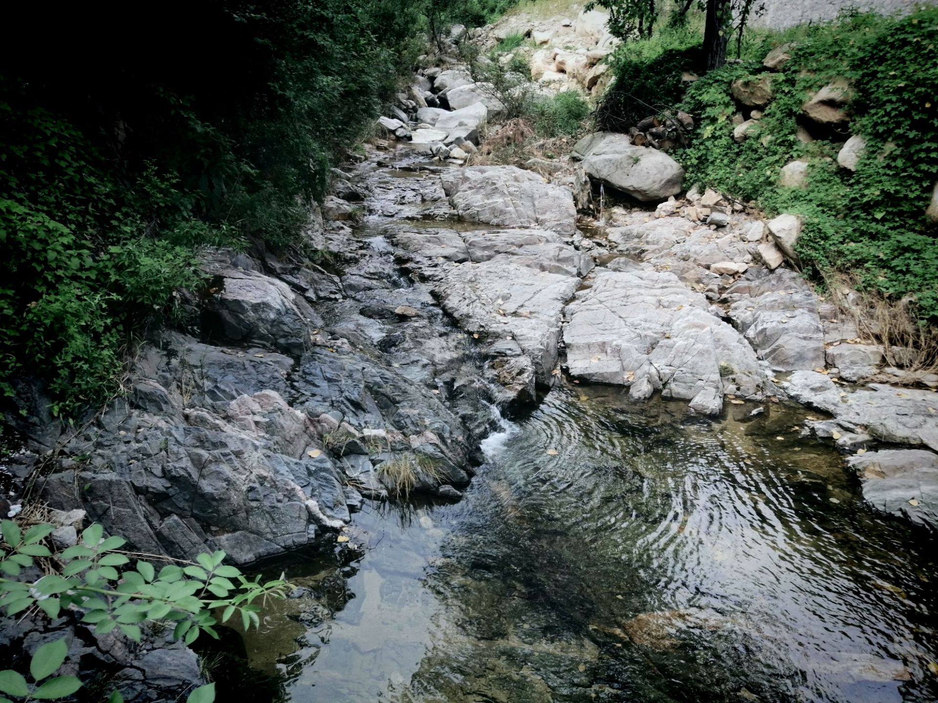 平邑蒙山國家森林公園大窪景區門票/遊玩攻略/地址/圖片/門票價格