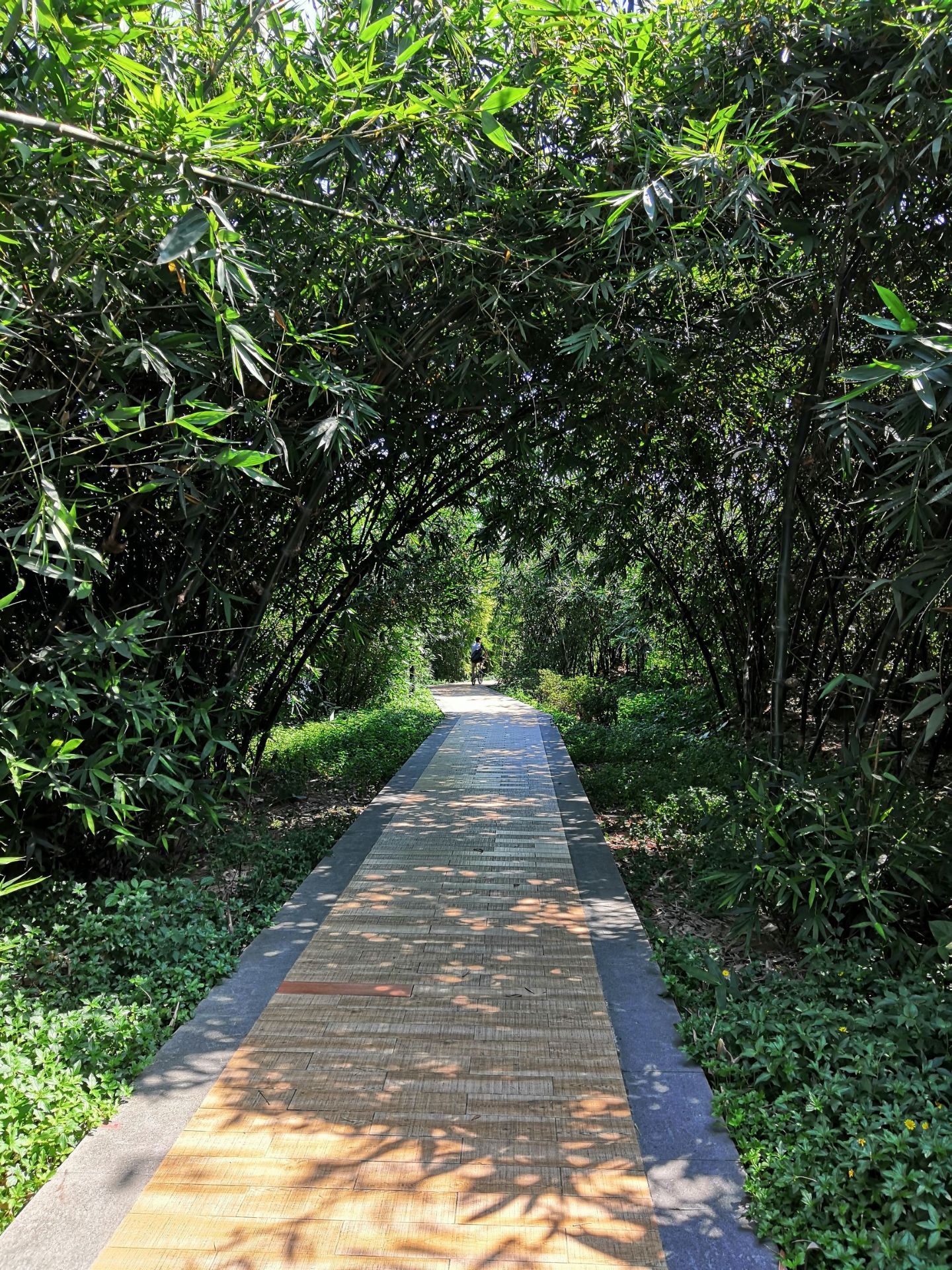 东平河石湾湿地公园