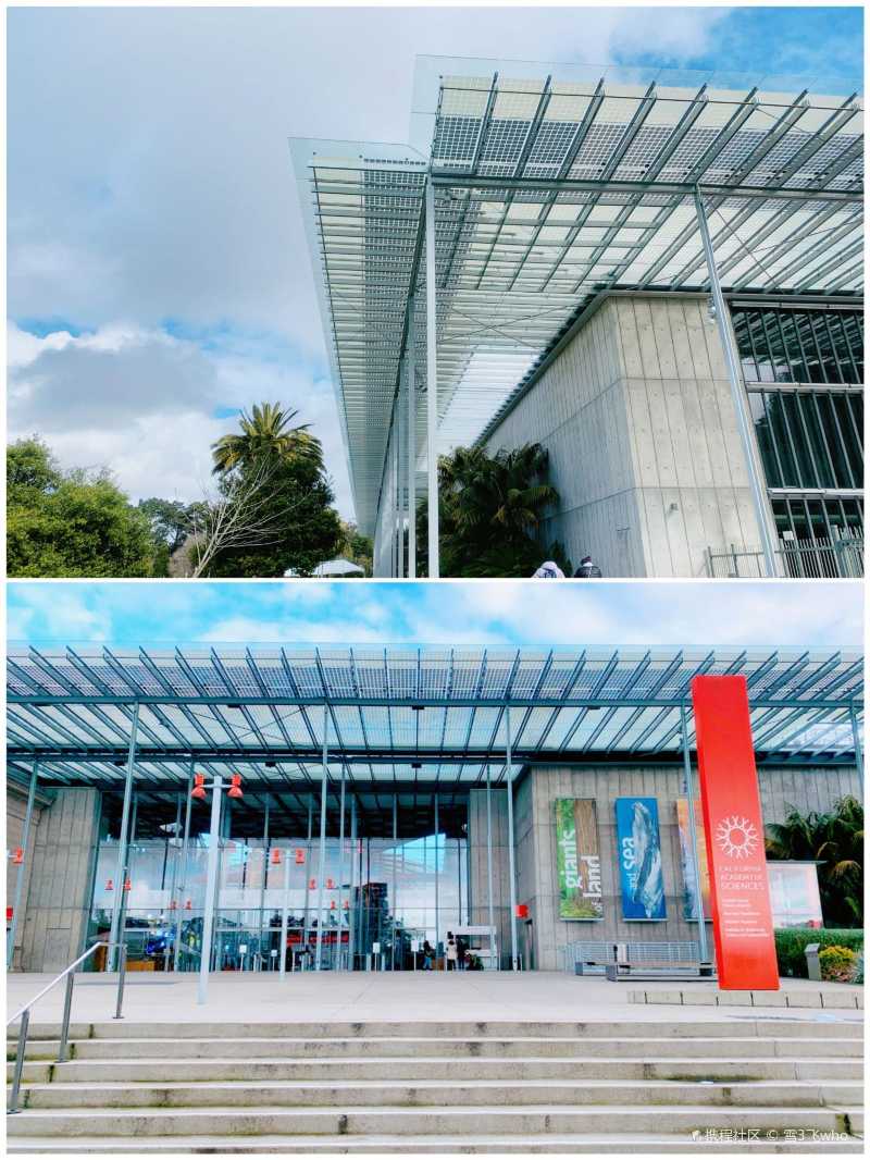 旧金山必打卡│加州科学博物馆