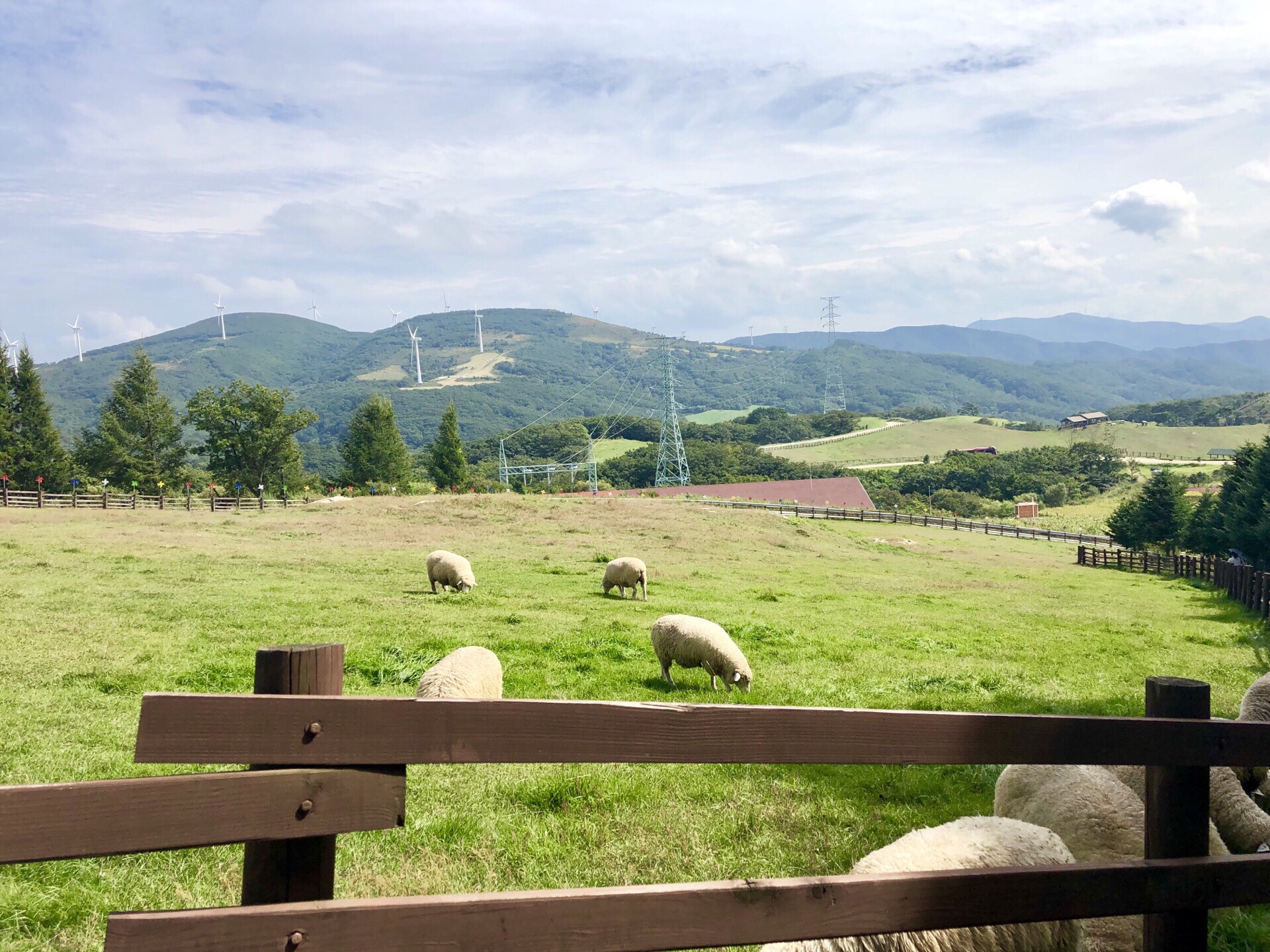 【携程攻略】平昌郡三养牧场景点,韩国的阿尔卑斯——三养牧场