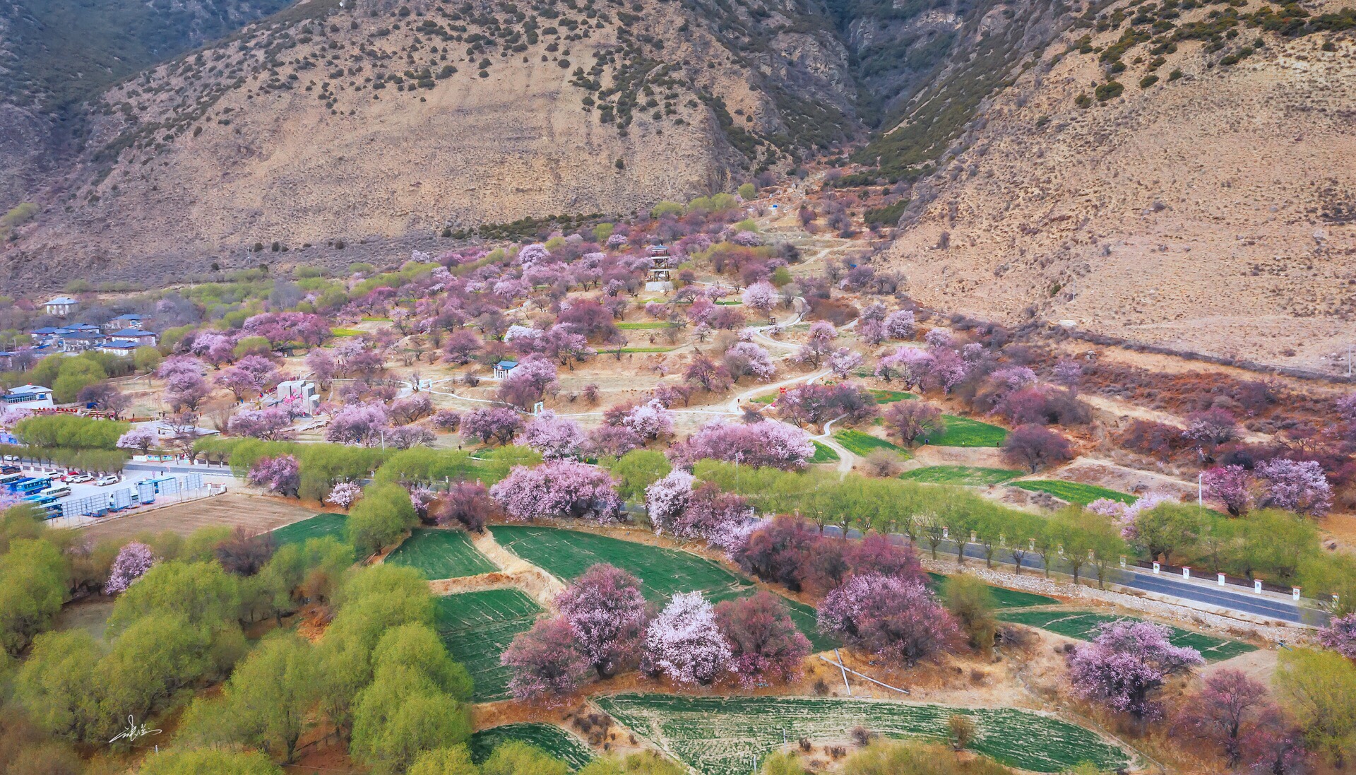 波密波密桃花沟好玩吗,波密波密桃花沟景点怎么样_点