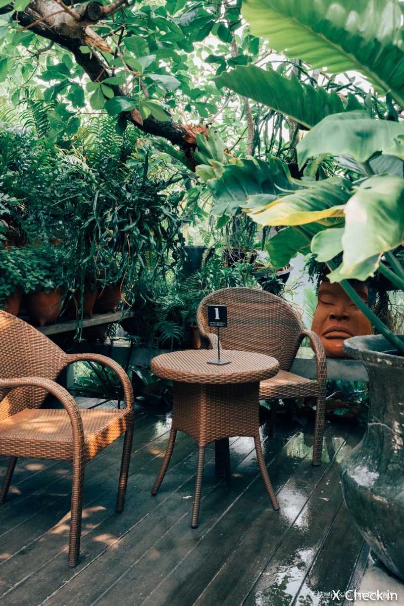 清迈本地人最喜欢去的秘密丛林花园咖啡厅wildcoffee