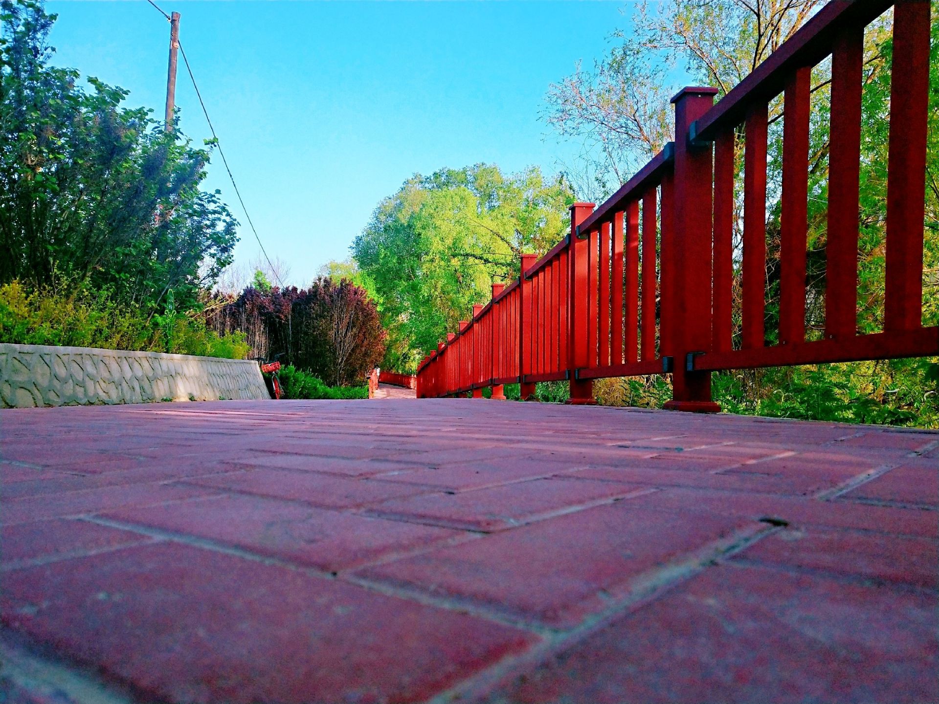 滨河路绿色长廊