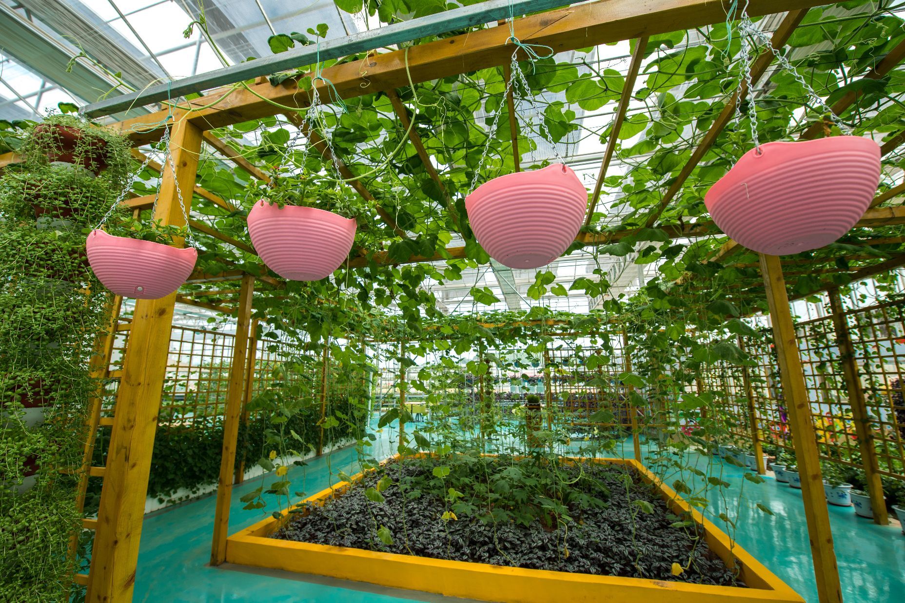 益阳现代农业嘉年华