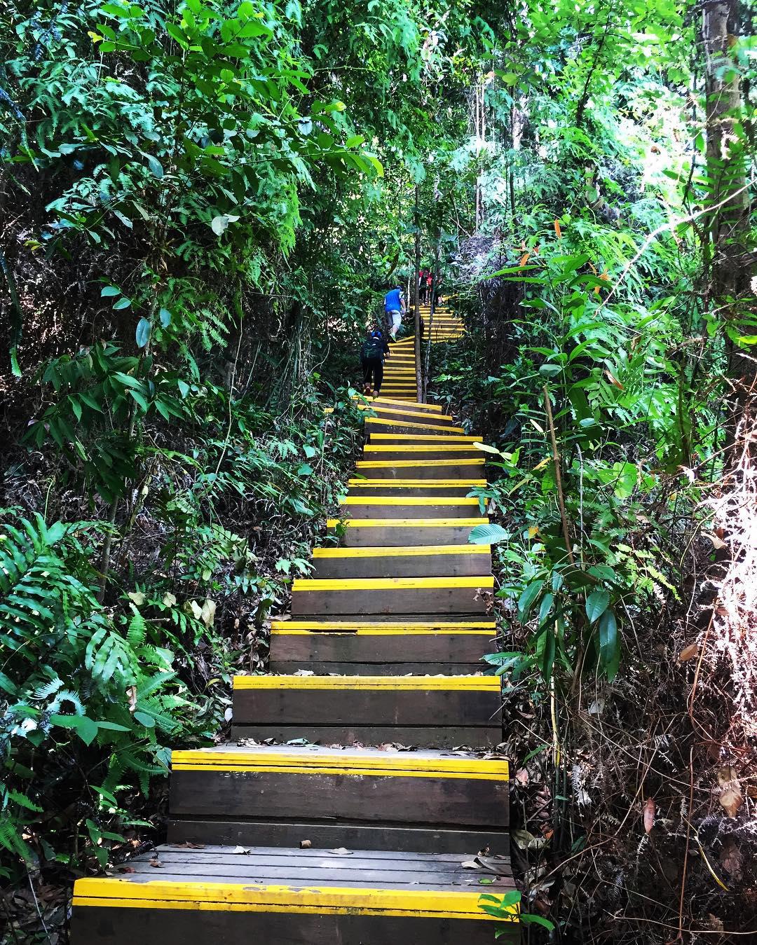 武吉知马天然保护区