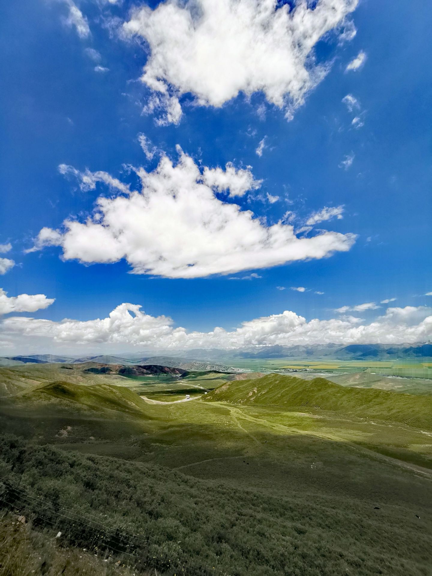 【携程攻略】门源门源百里油菜花海景点,为了心心念的油菜花海来到