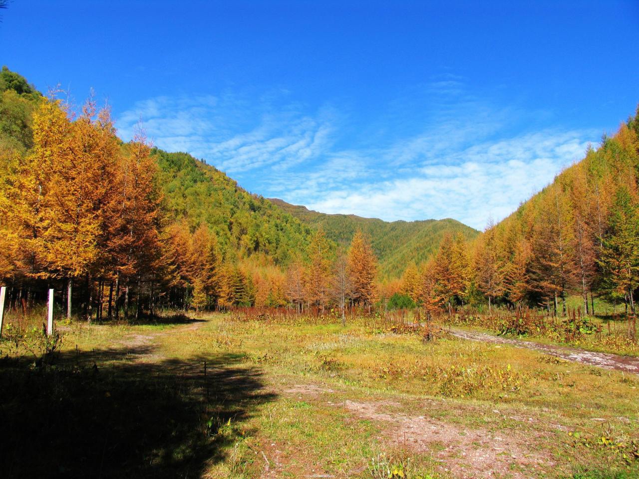 六盘山国家森林公园