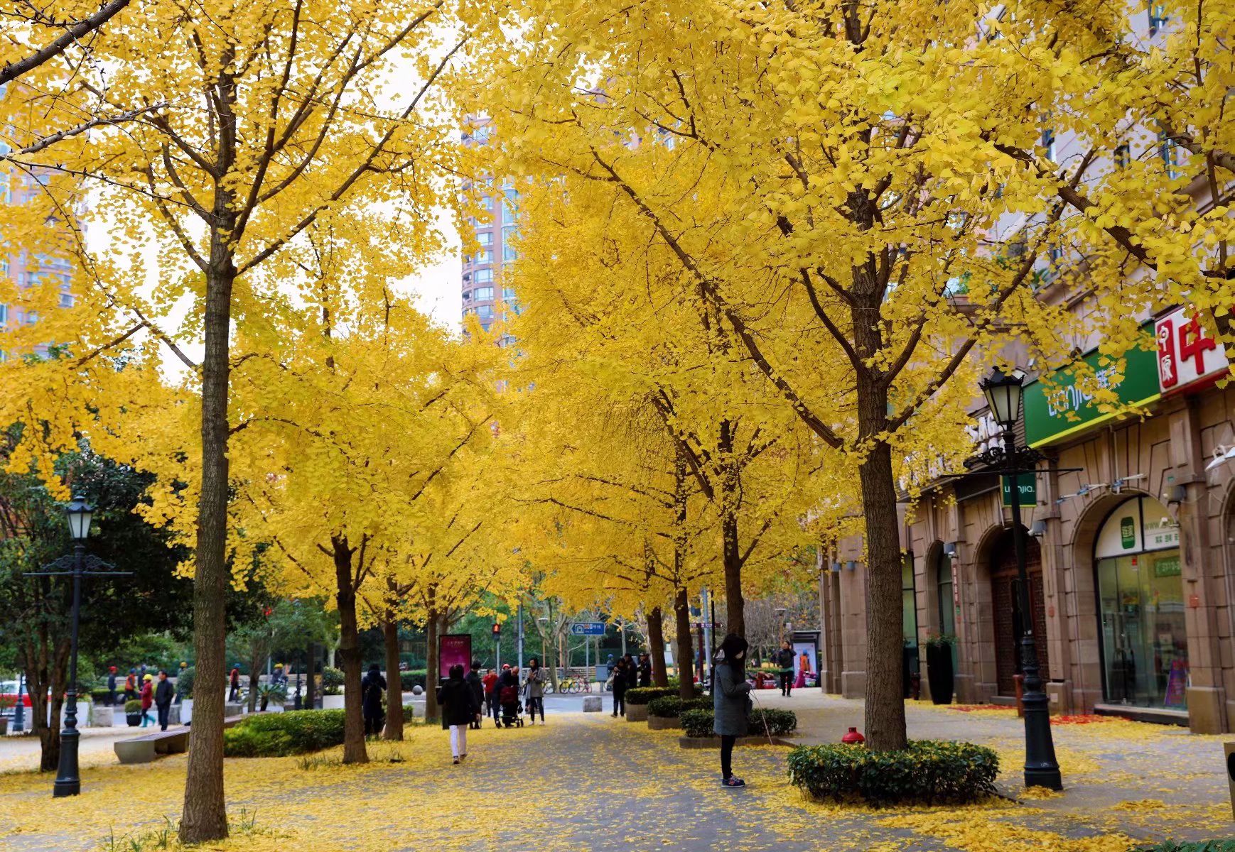 上海黄金城道步行街