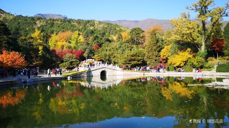 安徽大学眼镜湖图片