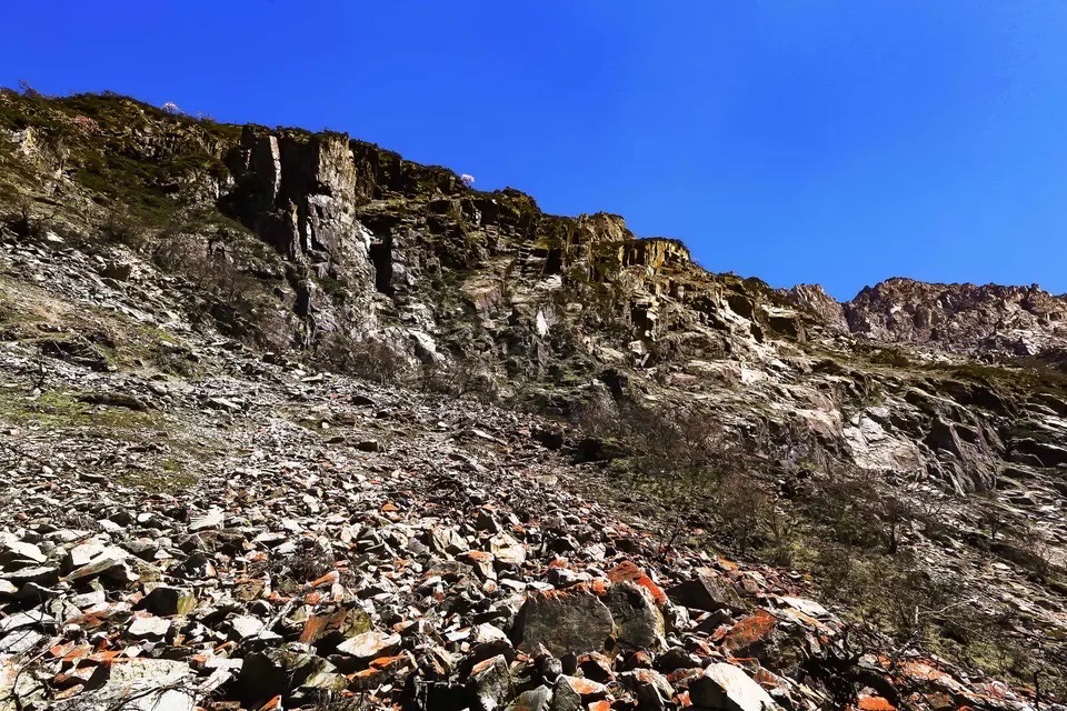 它是龙溪—虹口国家级自然保护区内第一高山,海拔4682米.