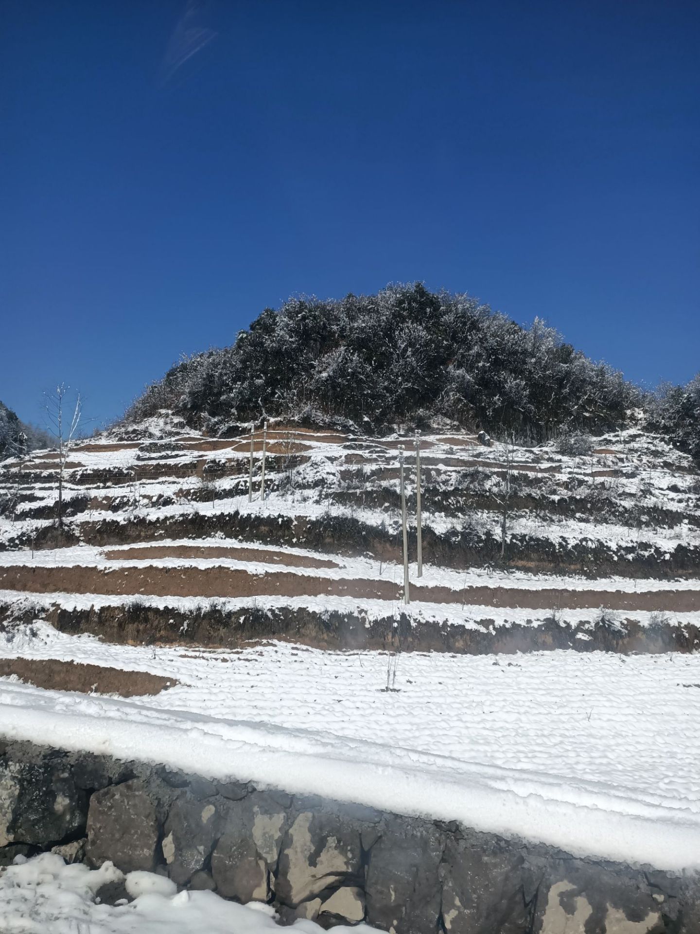 龙昌坪大山