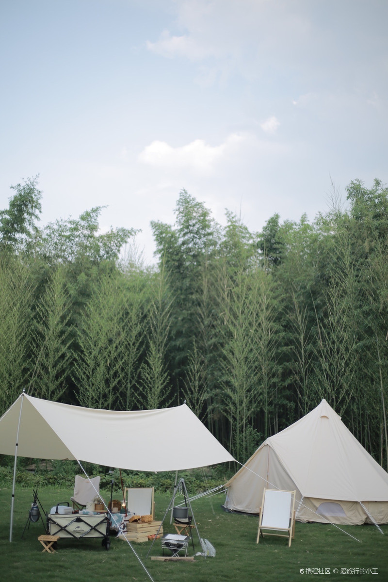 04杭州小奈良夏日千亩竹林里的露营派对