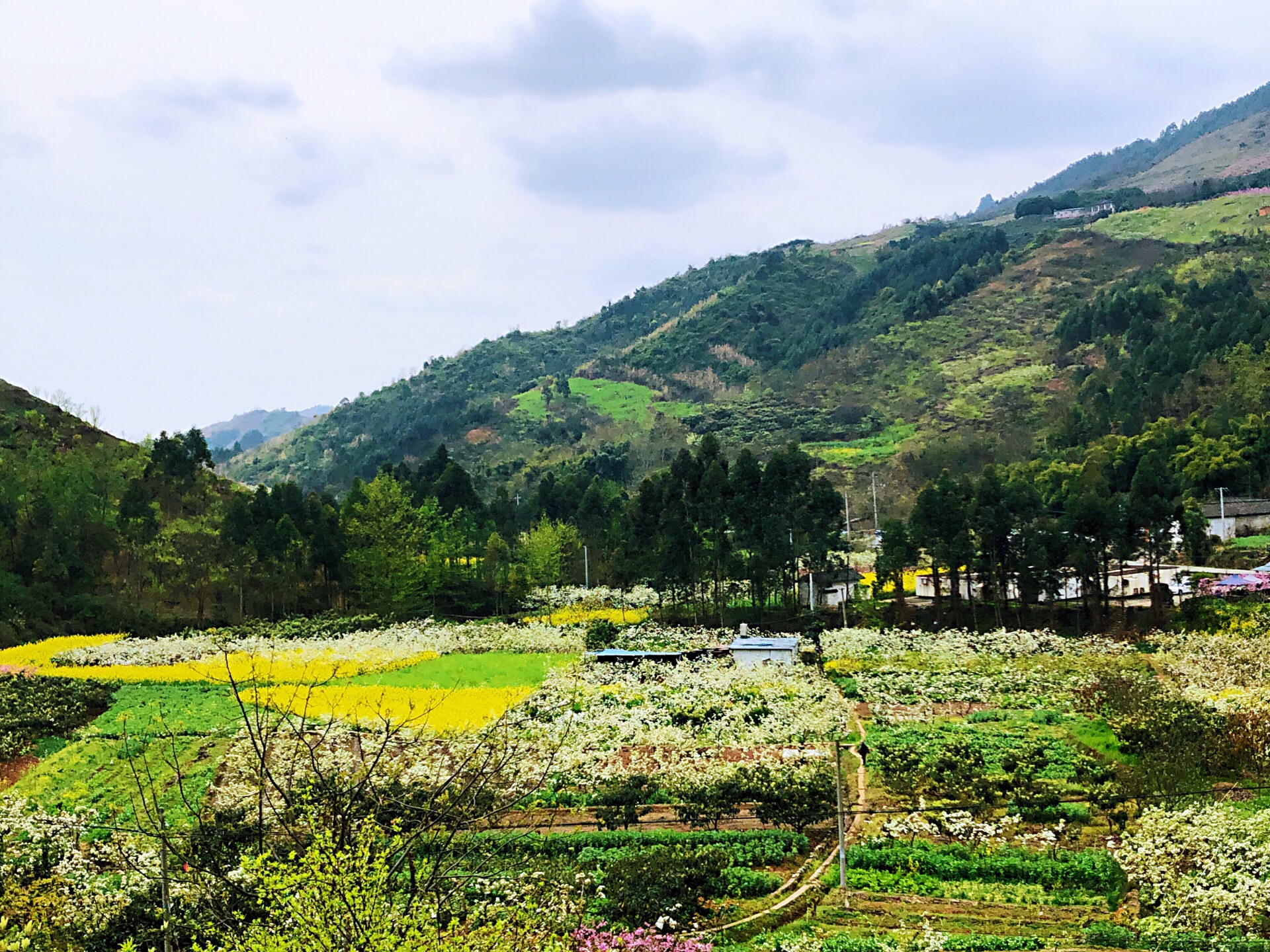 彭州葛仙山镇好玩吗,彭州葛仙山镇景点怎么样_点评_评价【携程攻略】