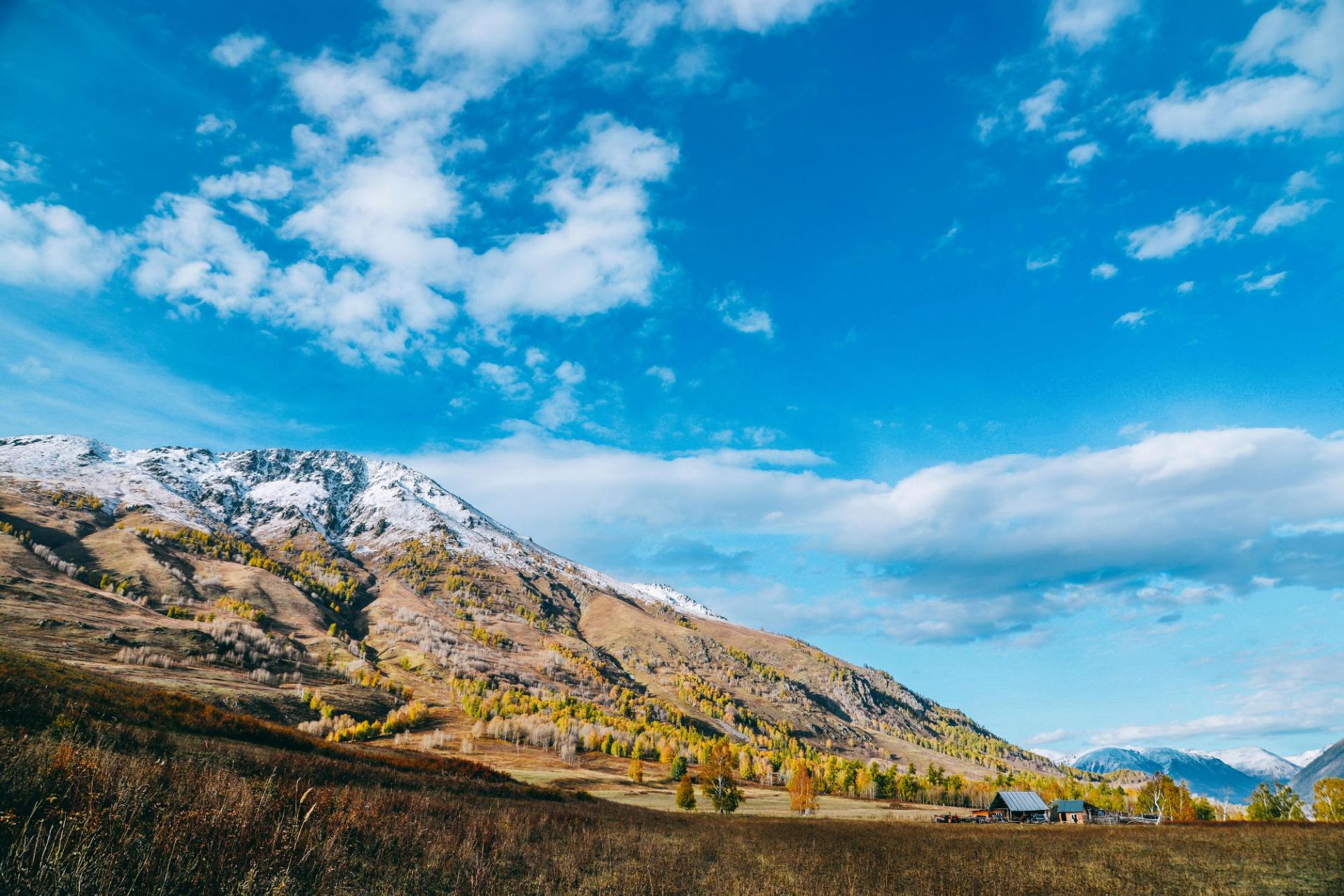 喀纳斯禾木草原好玩吗,喀纳斯禾木草原景点怎么样_点评_评价【携程