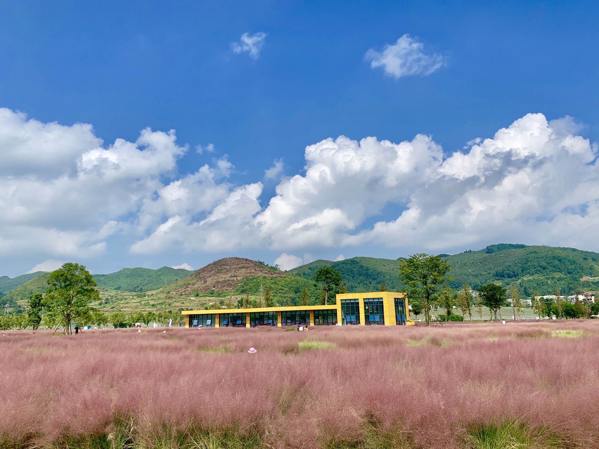 【携程攻略】安顺山里江南旅游休闲度假区景点,安顺-蝶恋花海粉黛乱子