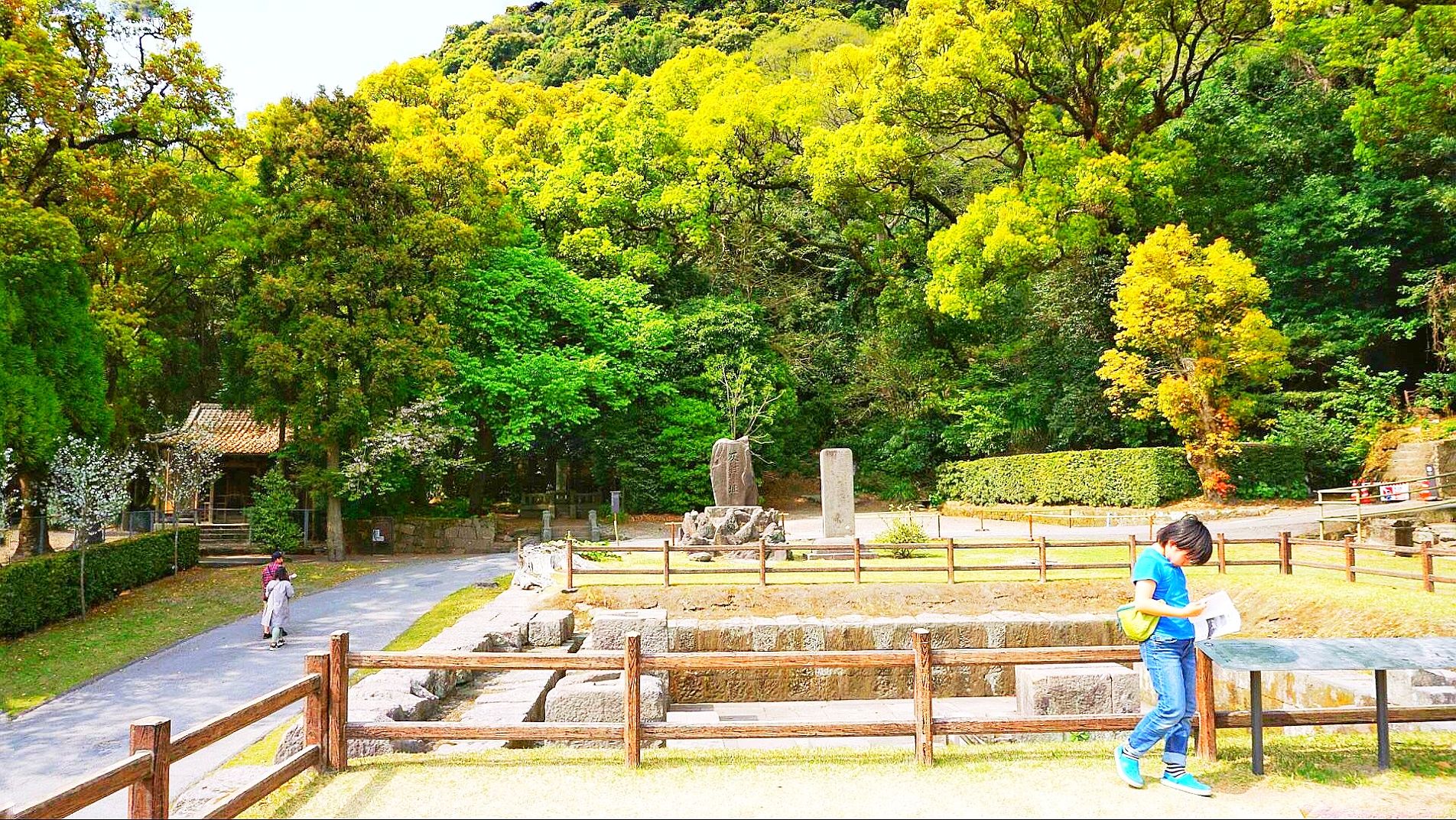 鹿兒島仙岩園攻略,鹿兒島仙岩園門票/遊玩攻略/地址/圖片/門票價格