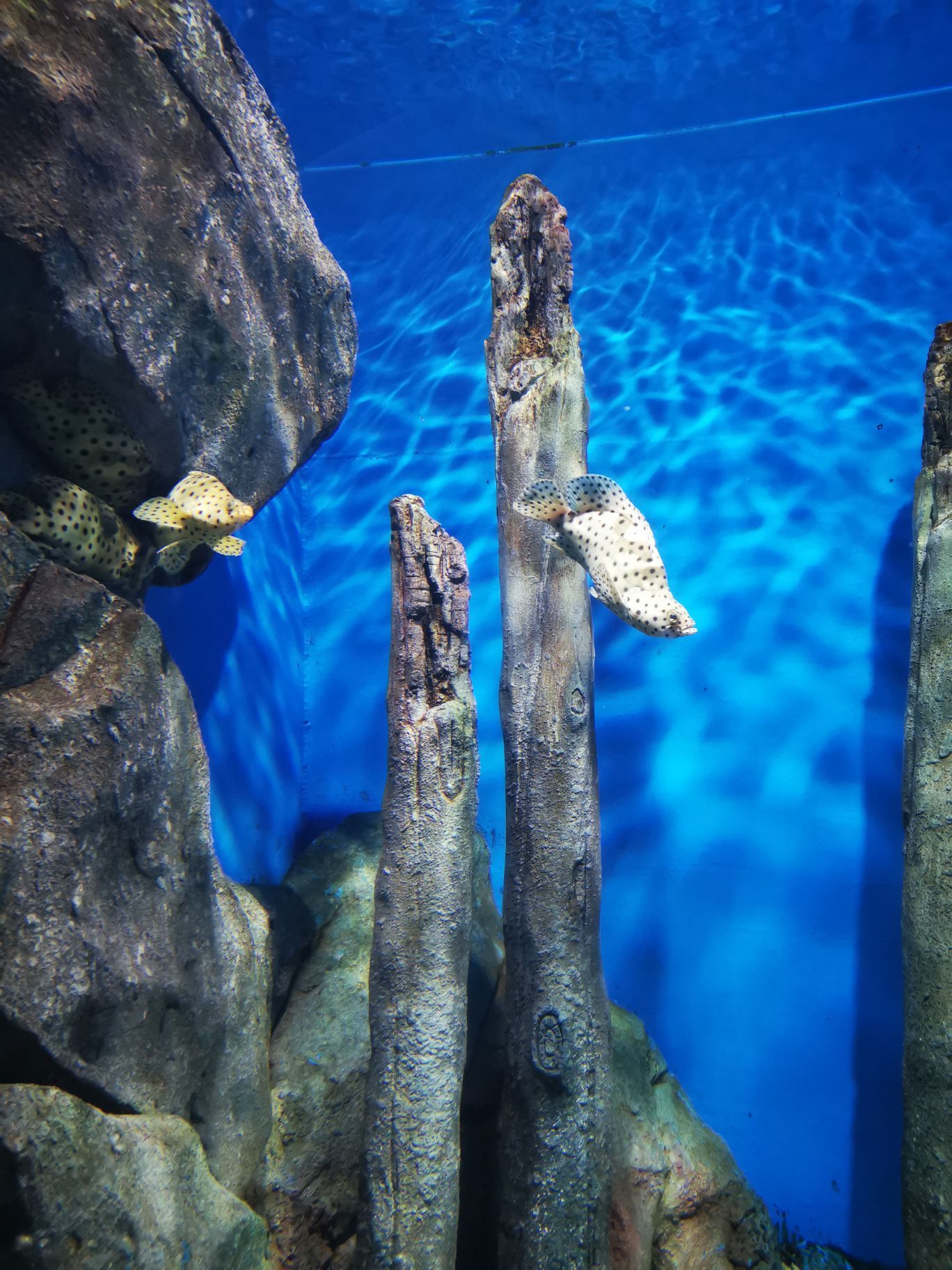 罗源罗源湾海洋世界好玩吗,罗源罗源湾海洋世界景点怎么样_点评_评价