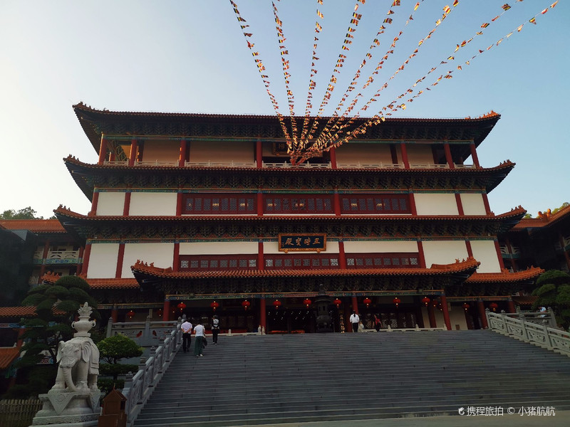 nashiwo 33 名胜之地,有名的美景寺庙——普陀寺 在广州游玩的途中,母