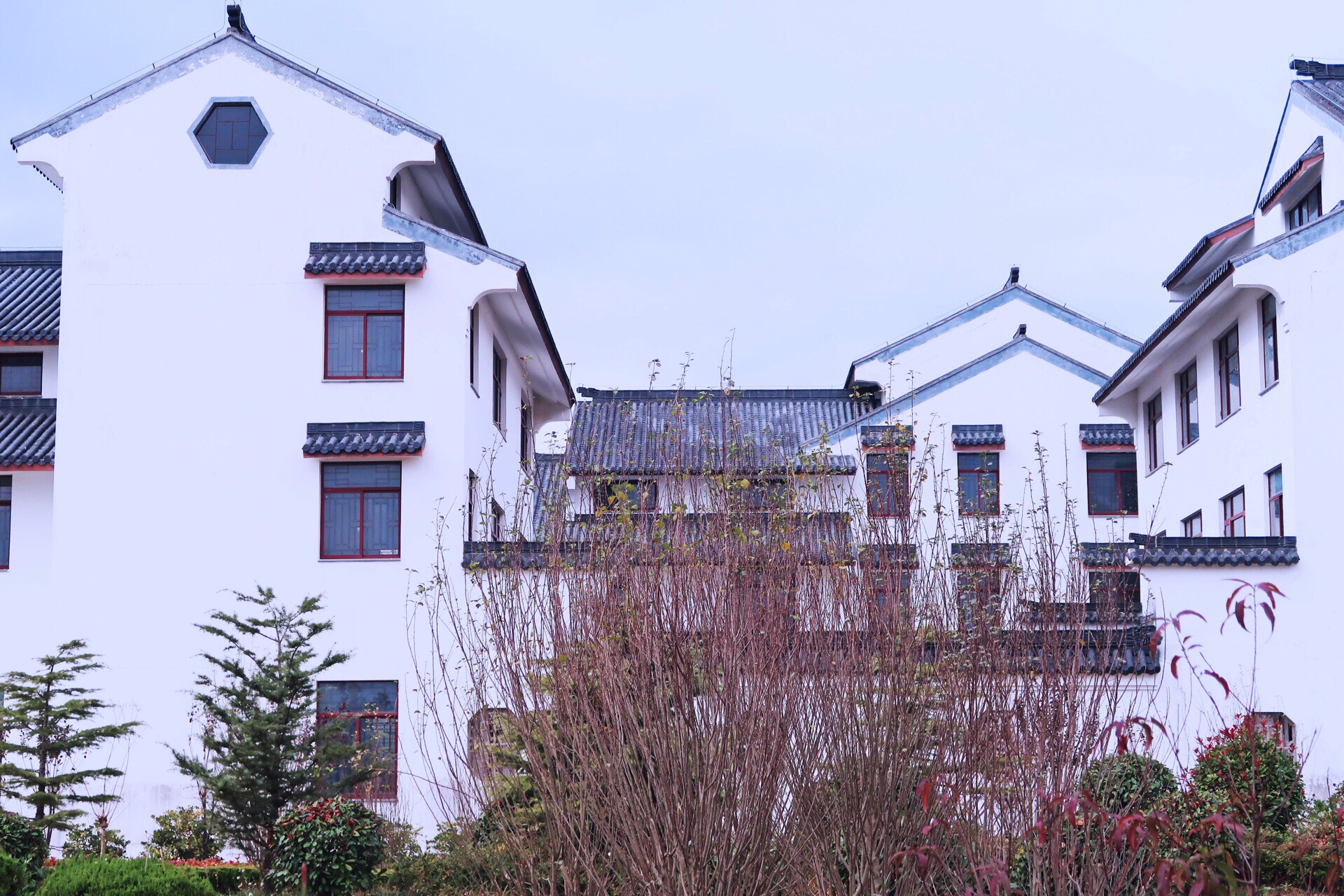 东台弶港镇攻略,东台弶港镇门票/游玩攻略/地址/图片/门票价格【携程