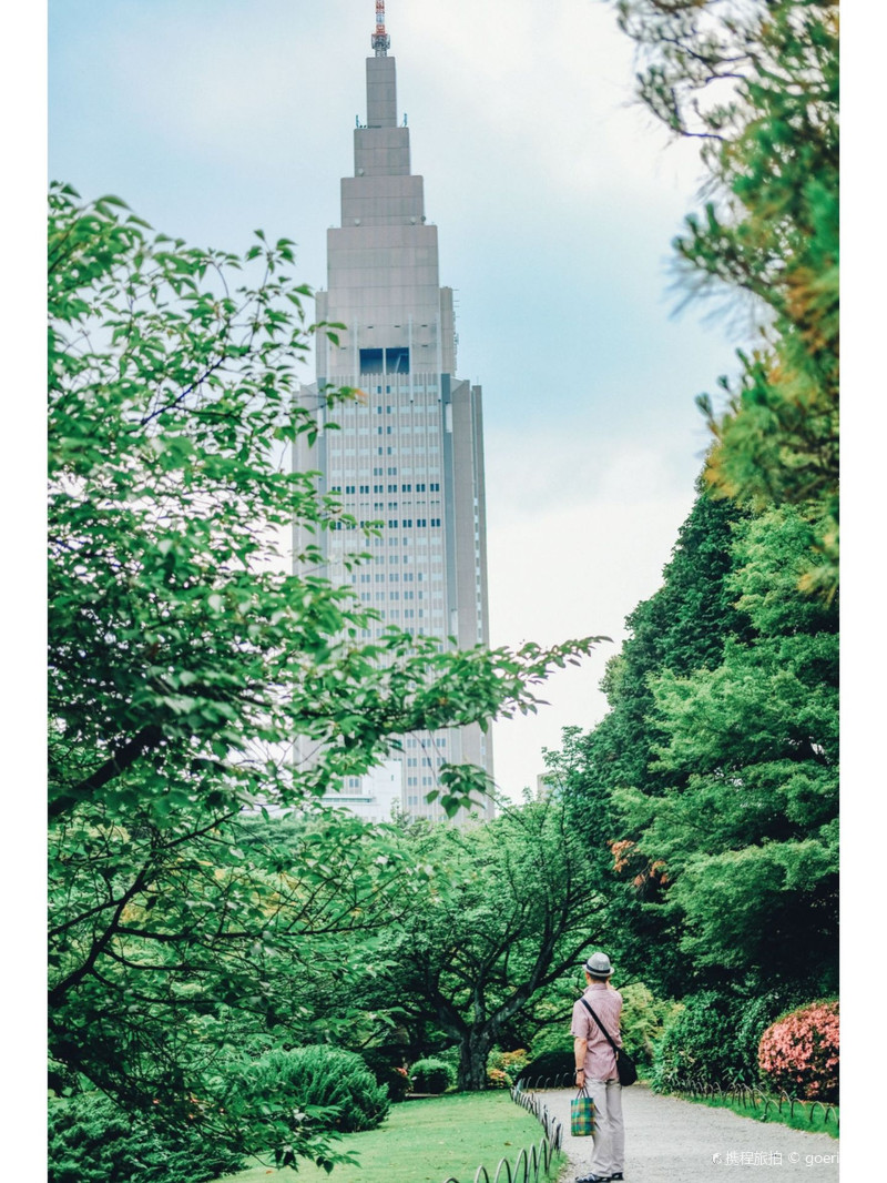 新宿御苑之行 东京之行 携程旅拍