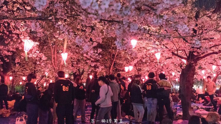 名古屋鹤舞公园攻略 鹤舞公园门票价格多少钱 团购票价预定优惠 景点地址图片 携程攻略
