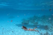 之前在桑给巴尔Zanzibar拍的自由潜视频～～ 之后会教大家如何拍出这样一半水上一半水下的效果～～