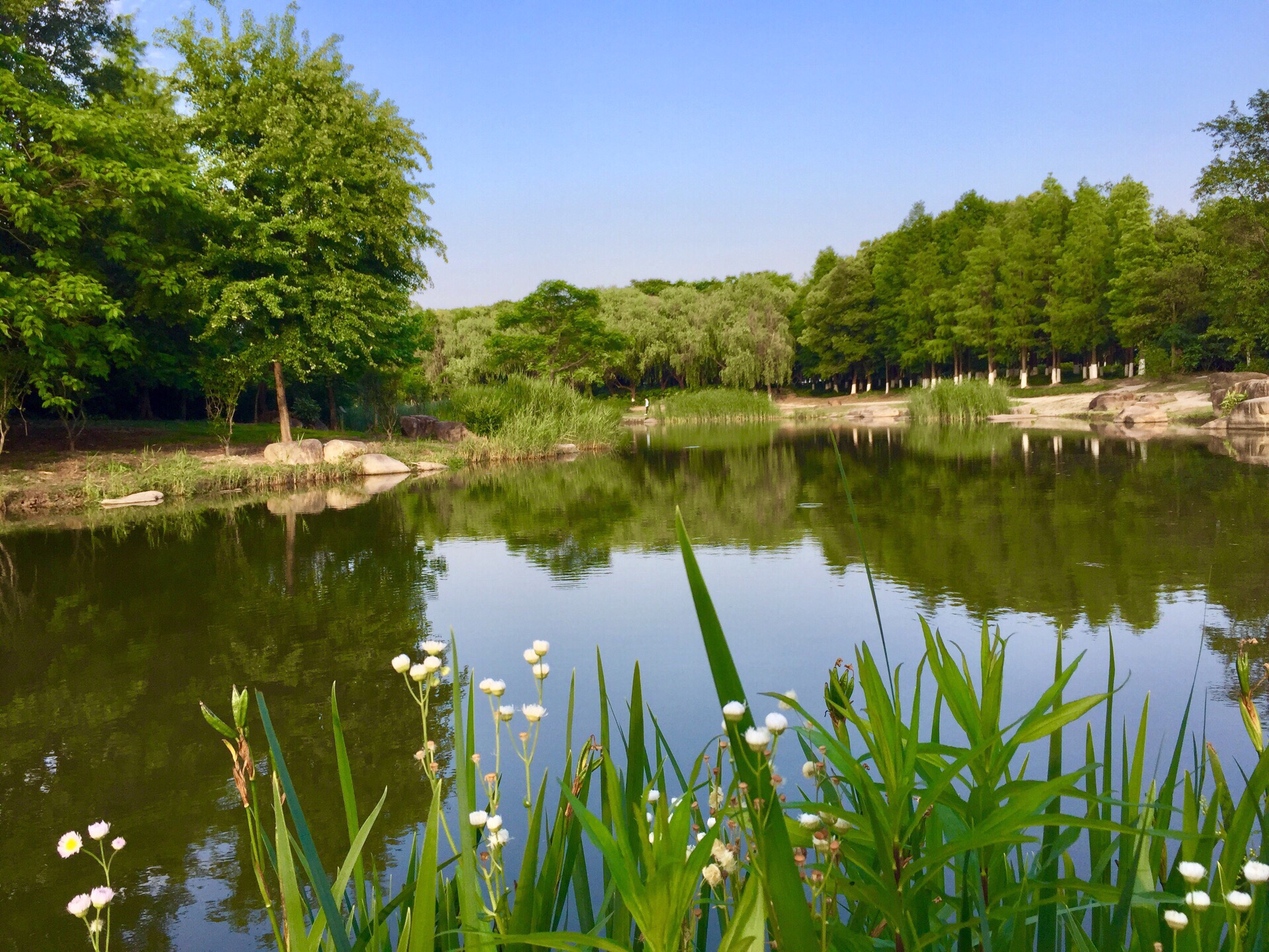上海古美湿地公园入口图片