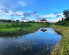 2-Day Wuzhong Tour: Majestic Yellow River Gorges and the Mystique of Niushou Mountain