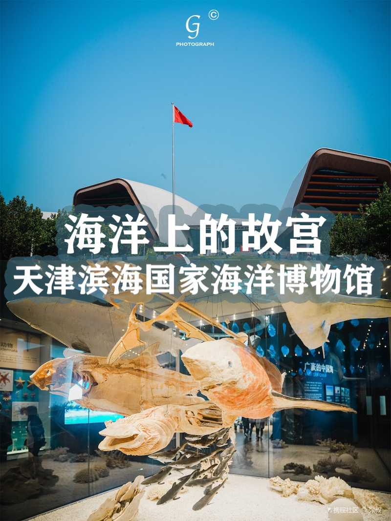 天津室内好去处|免费的国家级海洋博物馆-携程攻略