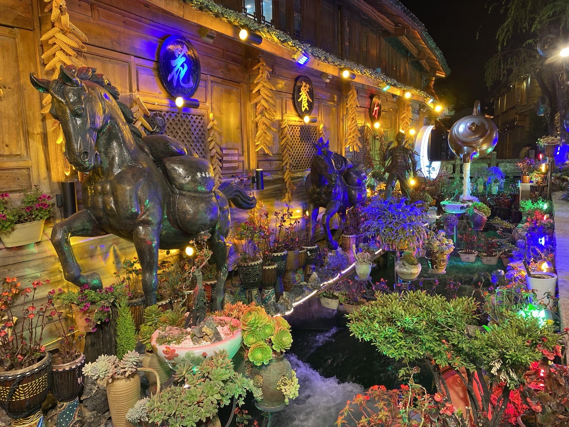 丽江樱花餐厅好吃吗,樱花餐厅味道怎么样,环境/服务好不好_点评_评价