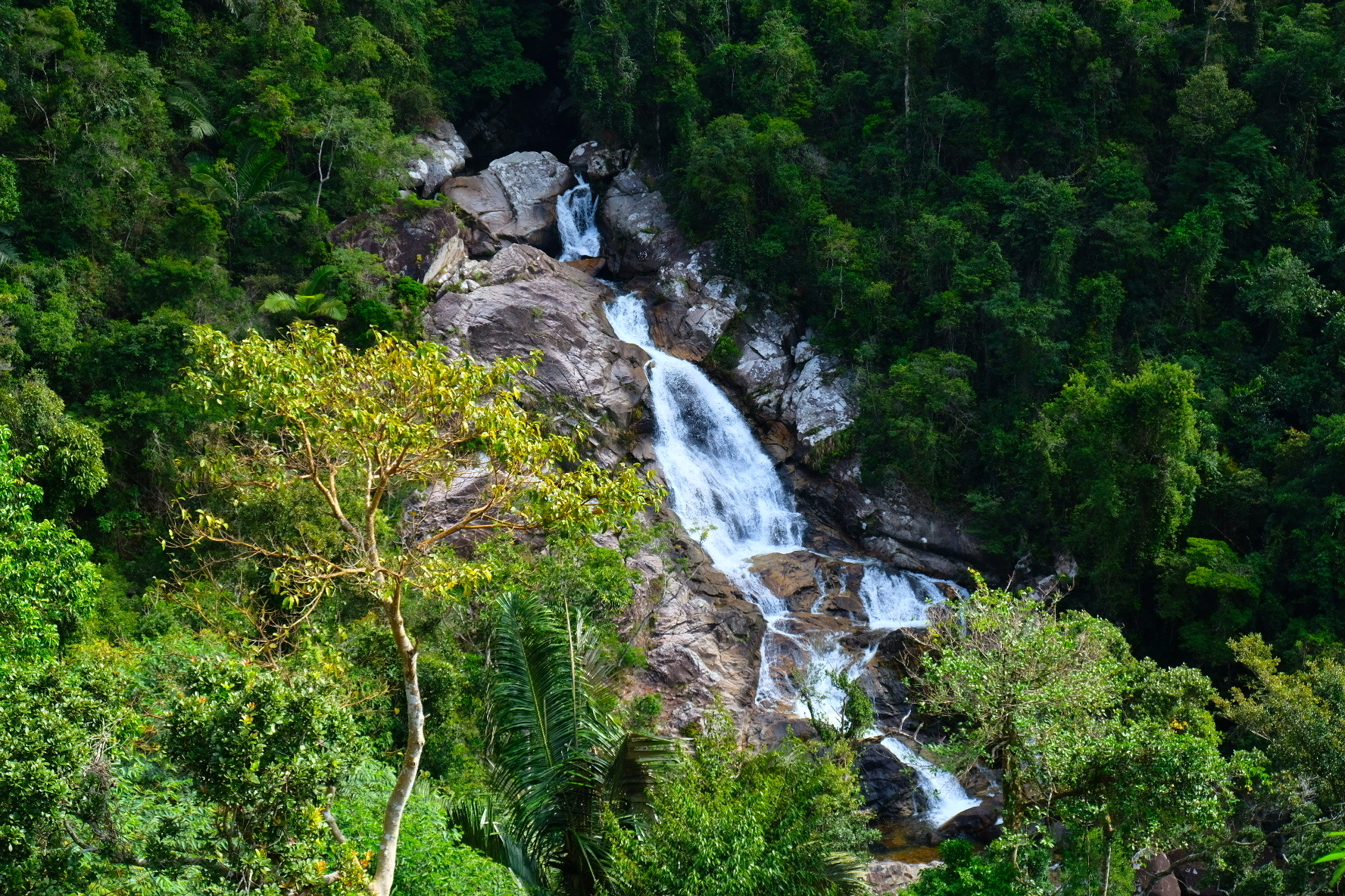 陵水吊罗山国家森林公园好玩吗,陵水吊罗山国家森林公园景点怎么样