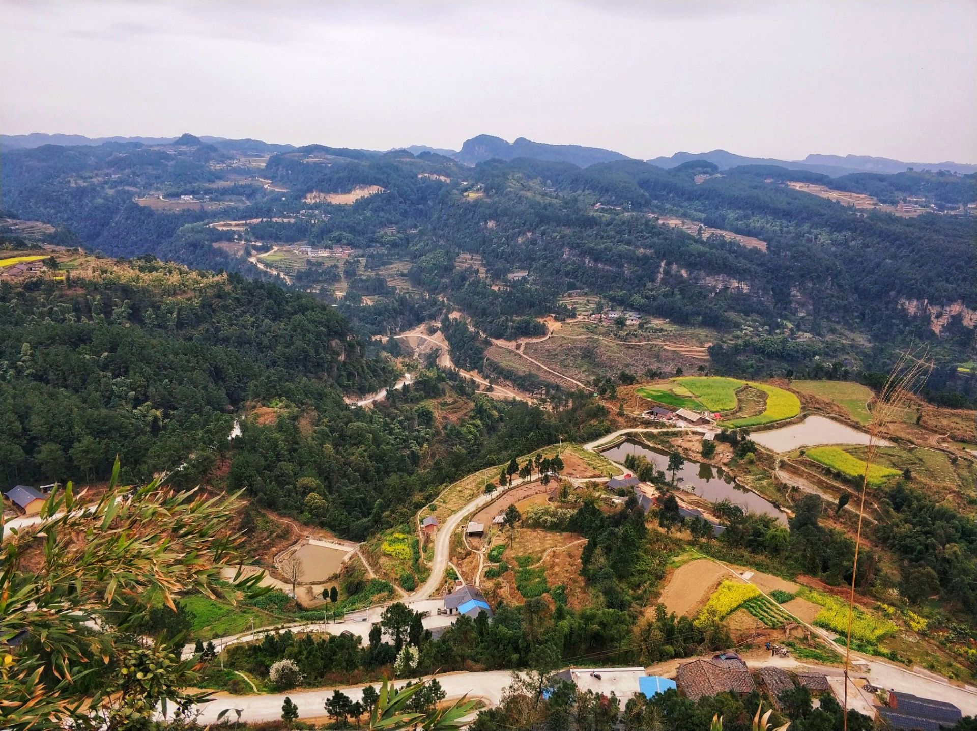 白牛寨森林公园