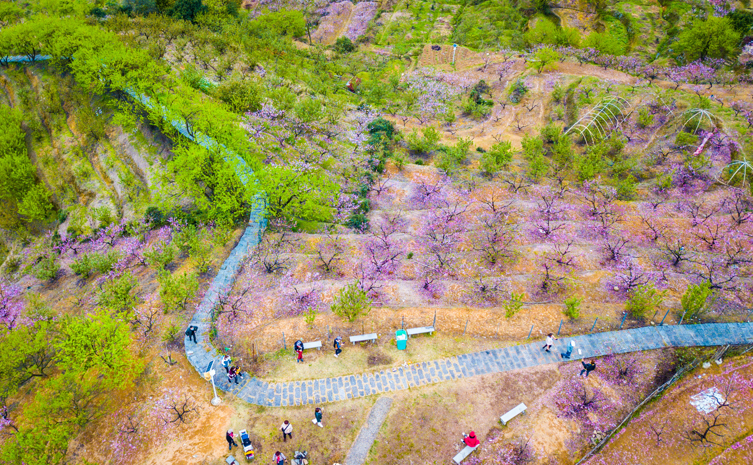 【携程攻略】桐庐阳山畈村景点,桃花盛开的山谷,桐庐阳山畈村,农舍的