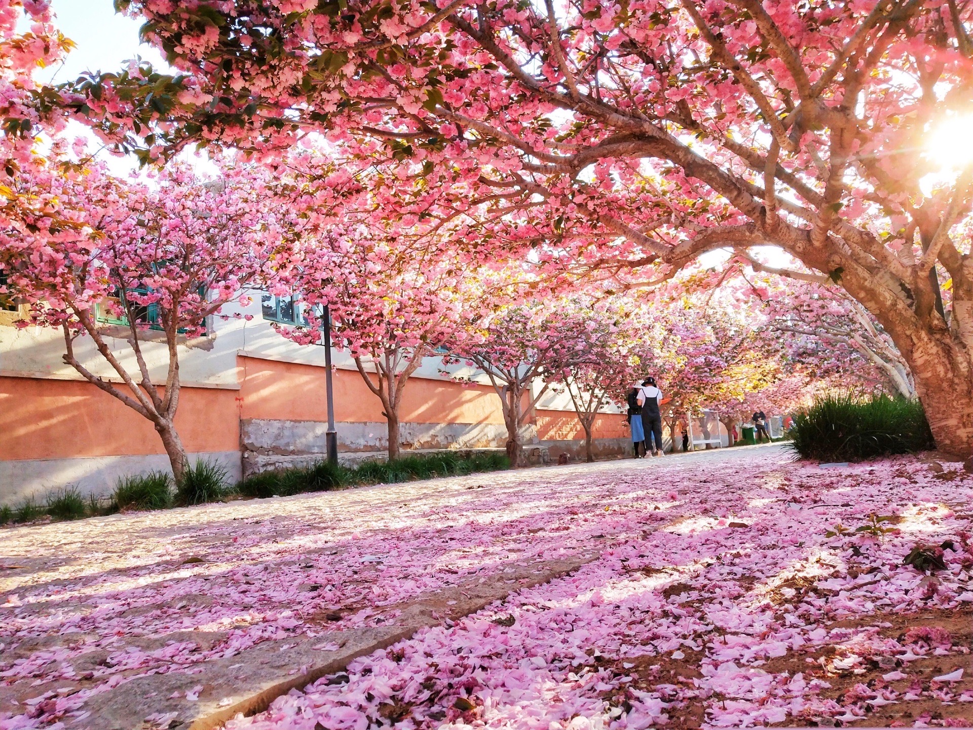 莱阳娘娘山风景区攻略,莱阳娘娘山风景区门票/游玩攻略/地址/图片