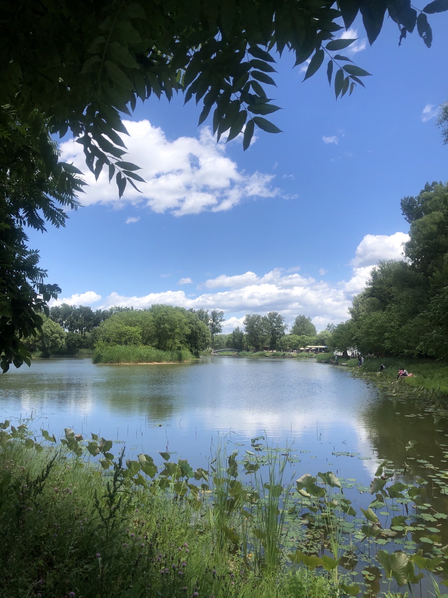 汉石桥湿地公园 直线距离 100m