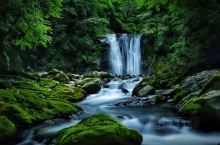 平利正阳龙洞河瀑布群 坐落在陕西省安康市平利县最南端的正阳镇境内山环水绕，景色秀丽，森林植物覆盖率达