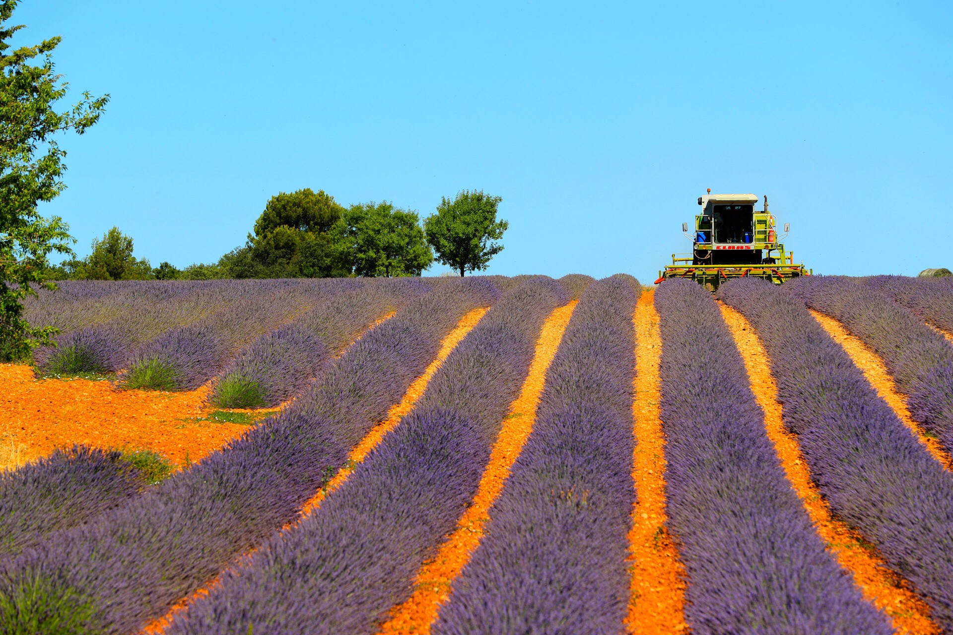 普罗旺斯普罗旺斯好玩吗,普罗旺斯普罗旺斯景点怎么样_点评_评价