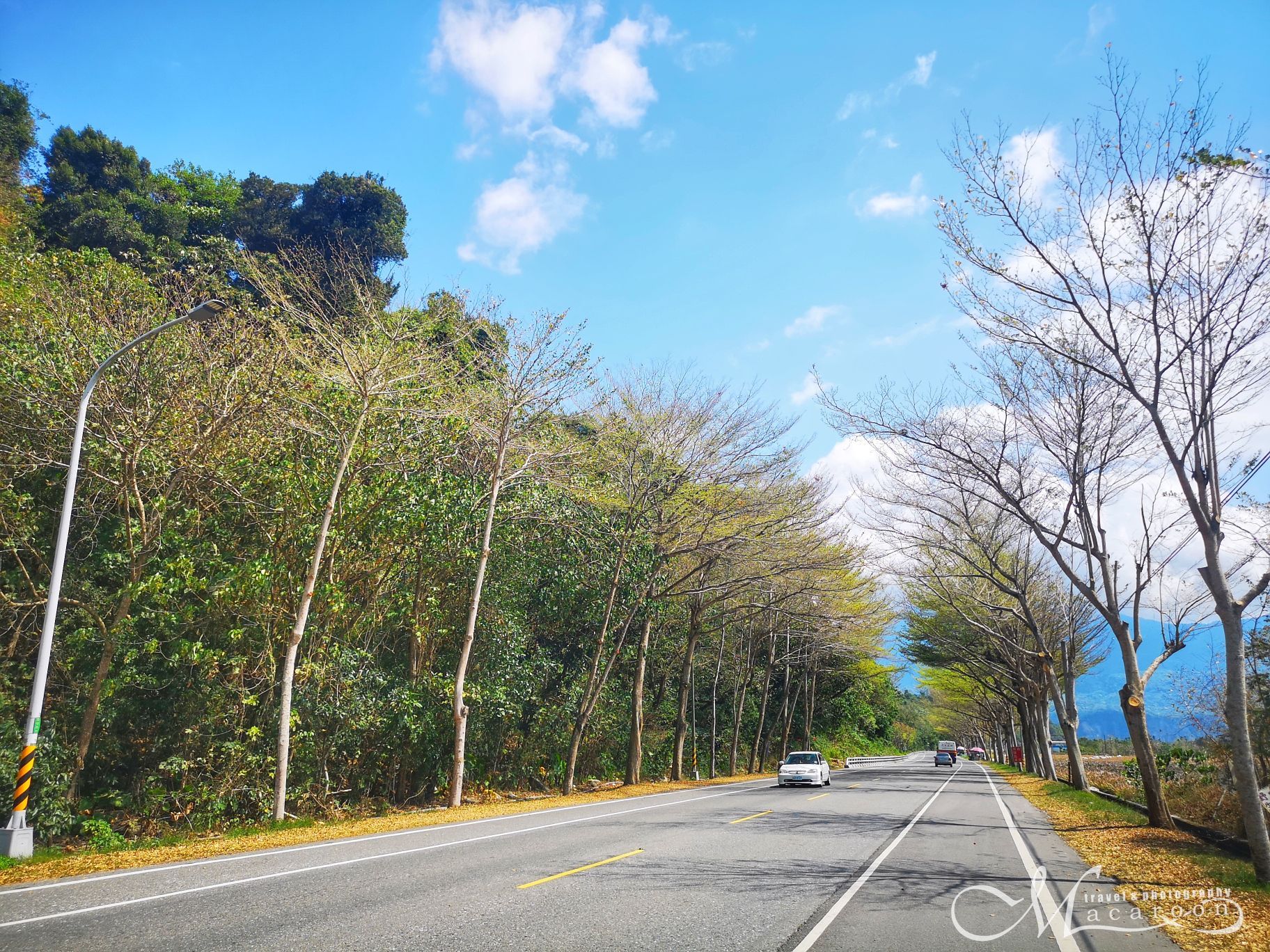 花东海岸公路