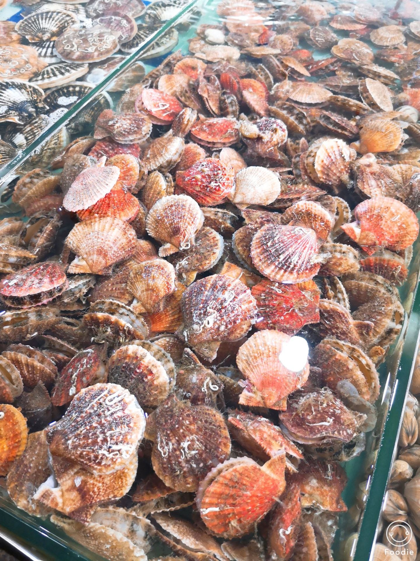 秦皇岛石塘路海鲜市场好吃吗,石塘路海鲜市场味道怎么样,环境/服务好