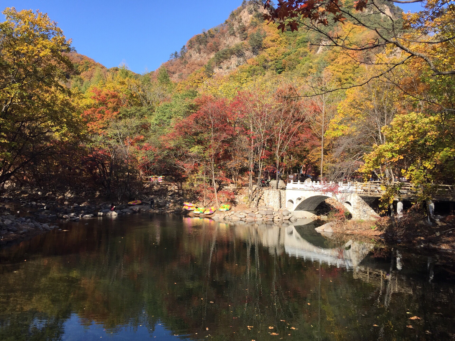 蒲石河森林公园