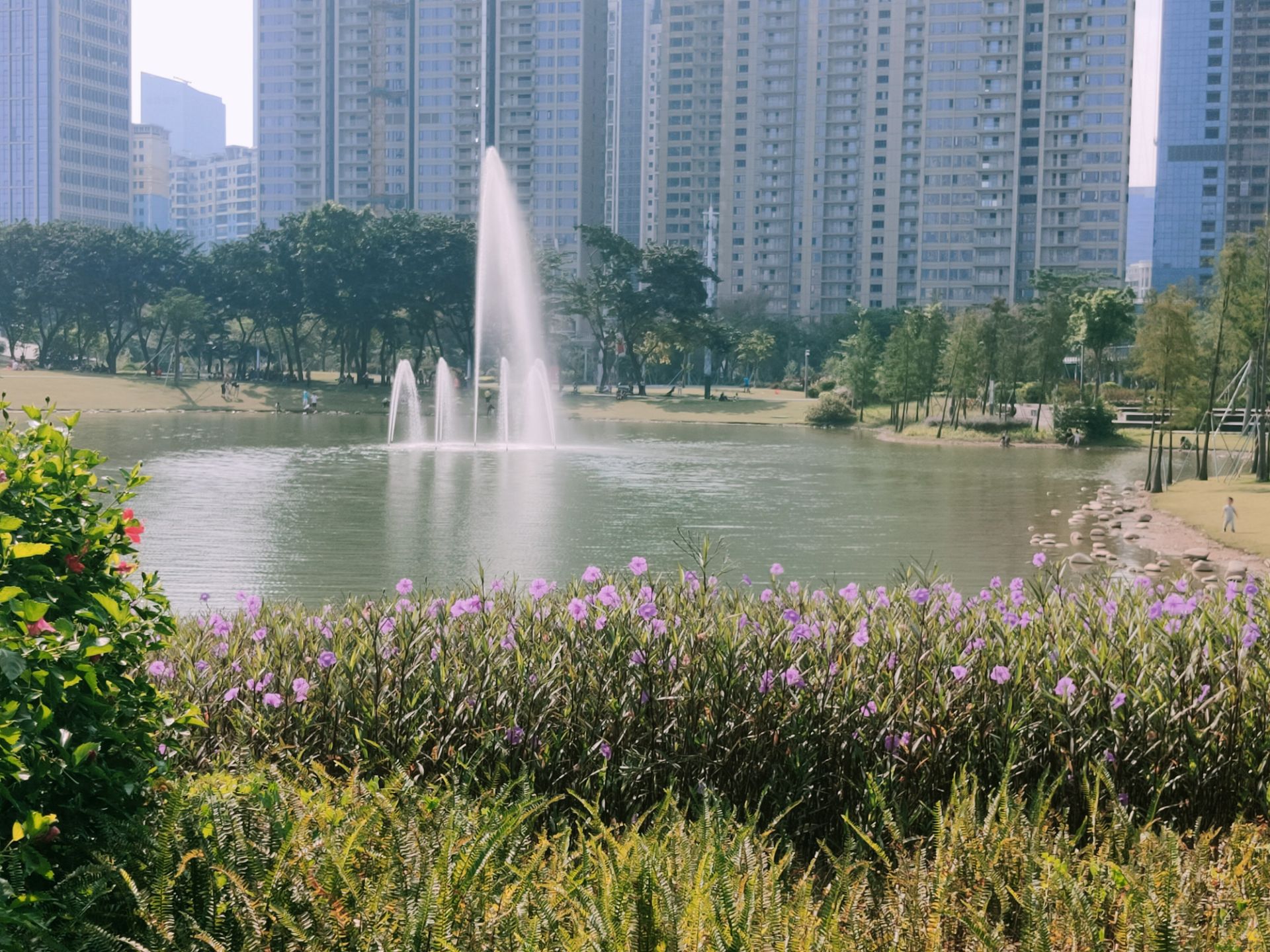 深圳香蜜公园风景-中关村在线摄影论坛