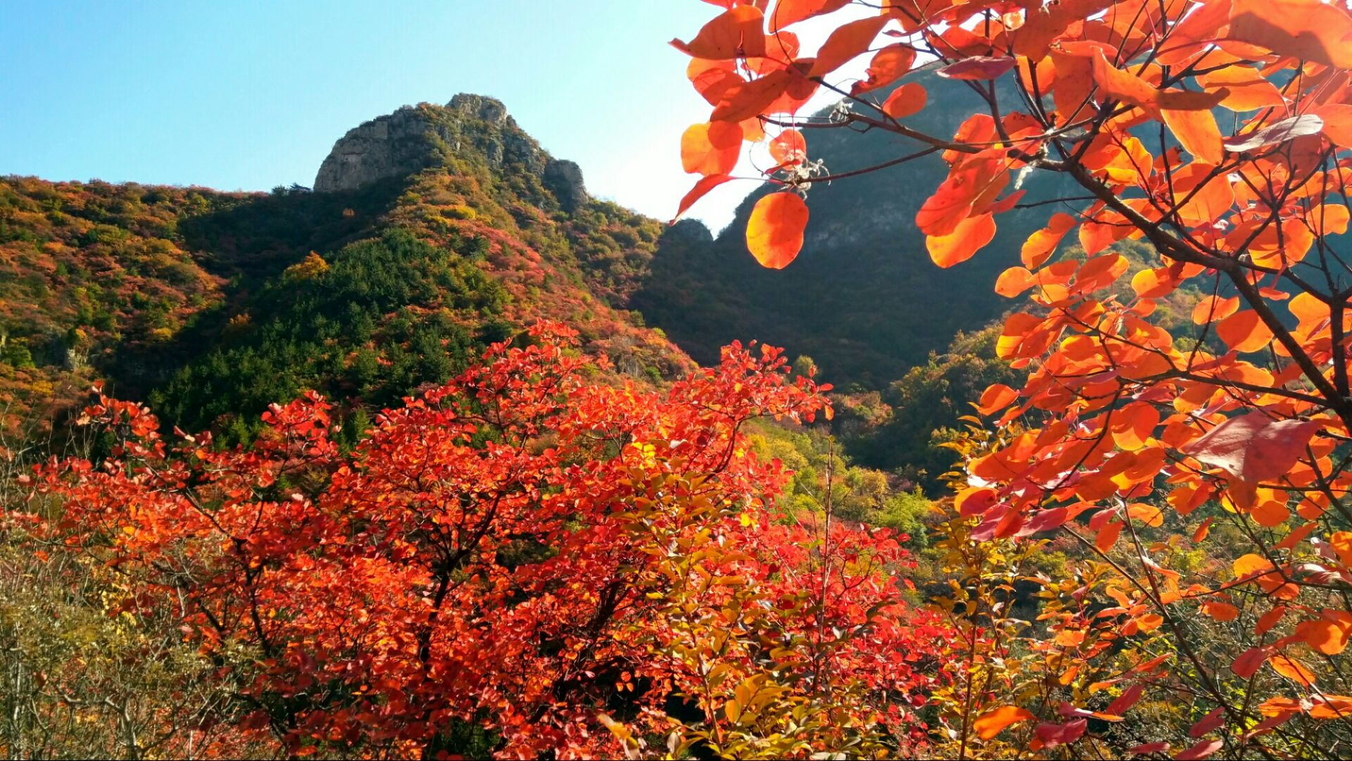 朝阳湖