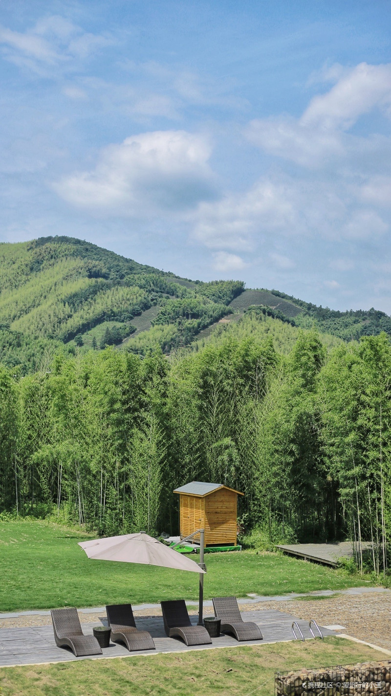 04杭州小奈良夏日千亩竹林里的露营派对