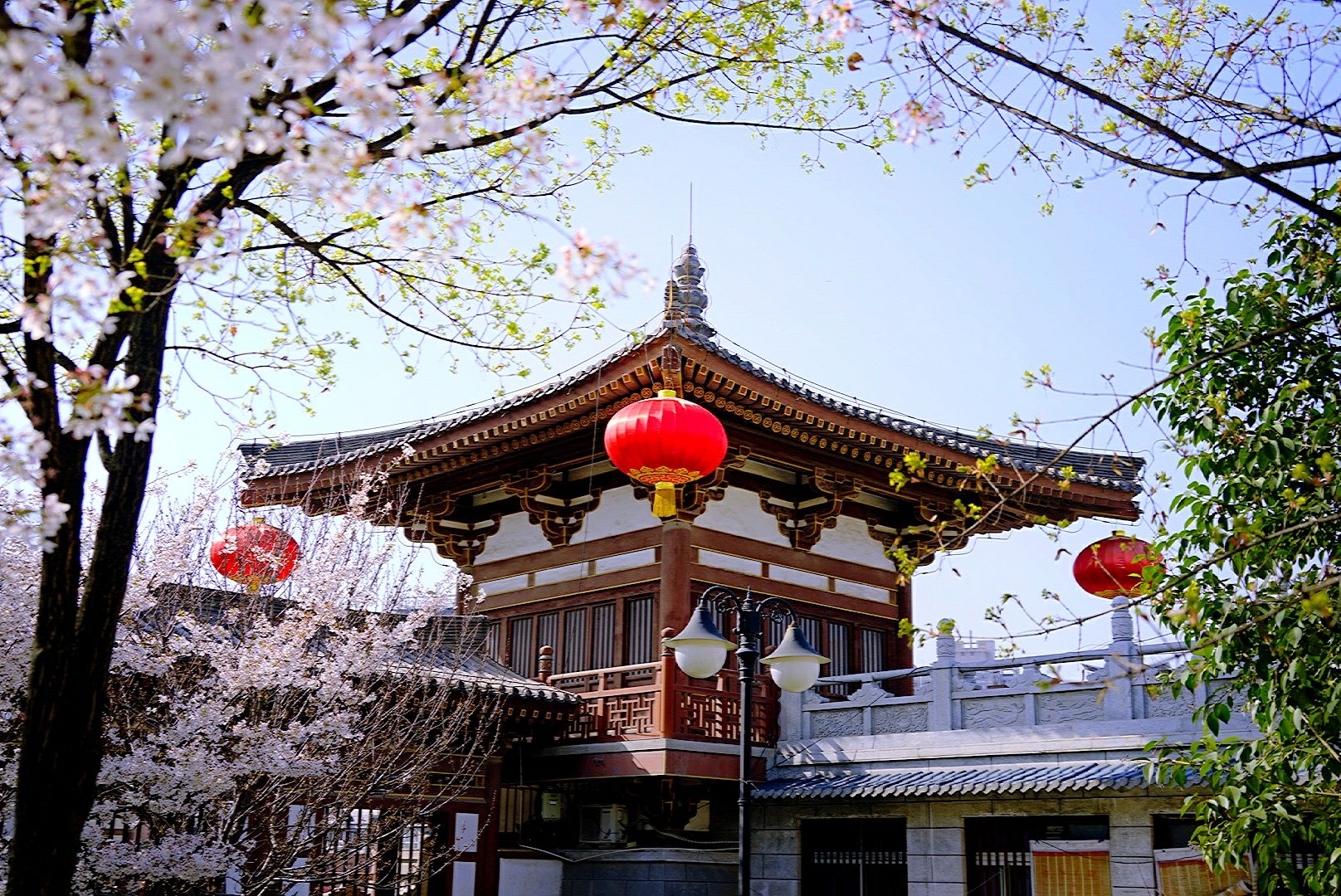西安青龙寺照片图片